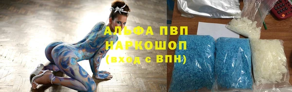 прущие грибы Рославль