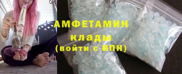 прущие грибы Рославль
