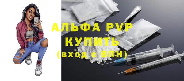 прущие грибы Рославль