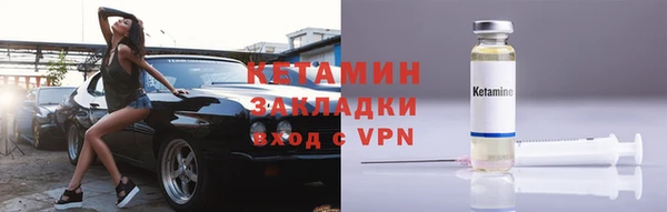 прущие грибы Рославль