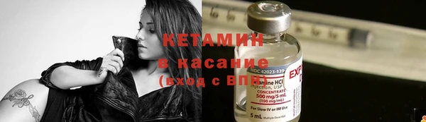 прущие грибы Рославль