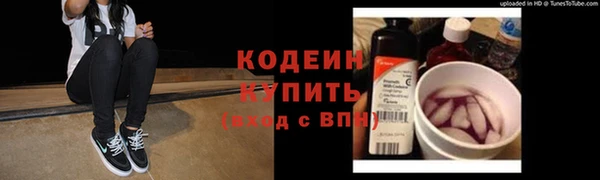 прущие грибы Рославль