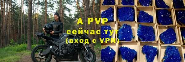 прущие грибы Рославль