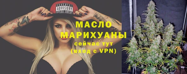 прущие грибы Рославль